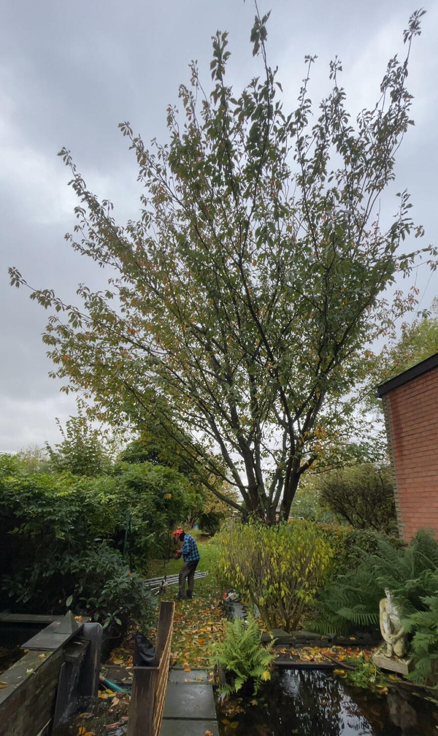 Jardin Express-Arnaud Defays