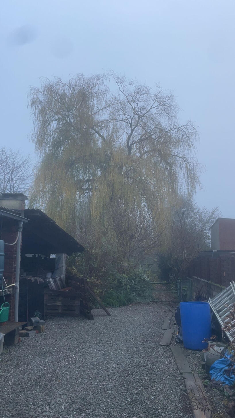 Jardin Express-Arnaud Defays