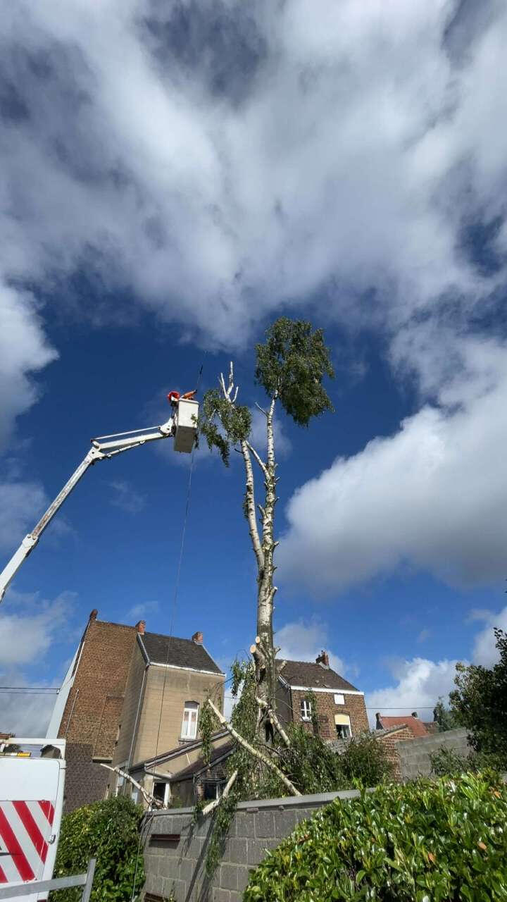 Travail avec nacelle