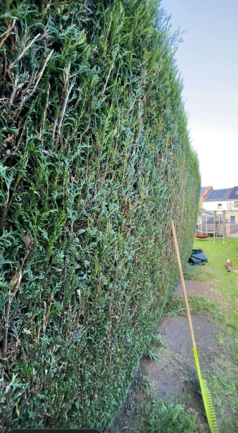 Jardin Express-Arnaud Defays